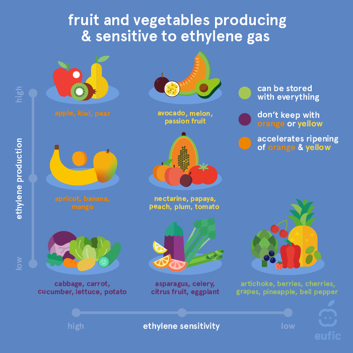 https://www.eufic.org/en/images/uploads/food-safety/ArticleImages_FruitVegEthylene.png