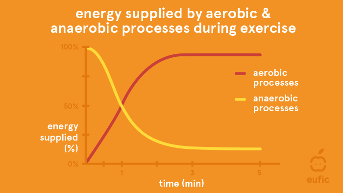 The Difference Between Aerobic And Anaerobic Exercise Eufic