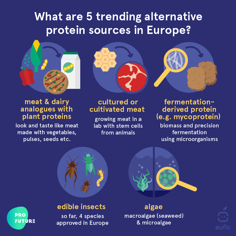 5 trending alternative protein sources in Europe