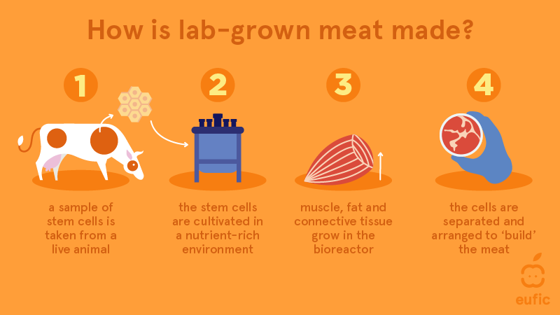 Lab grown meat: how it is made and what are the pros and cons