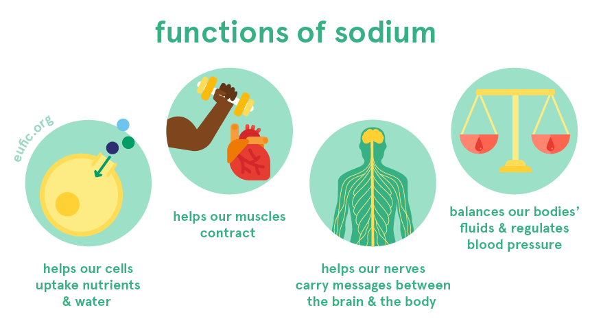 functions of sodium