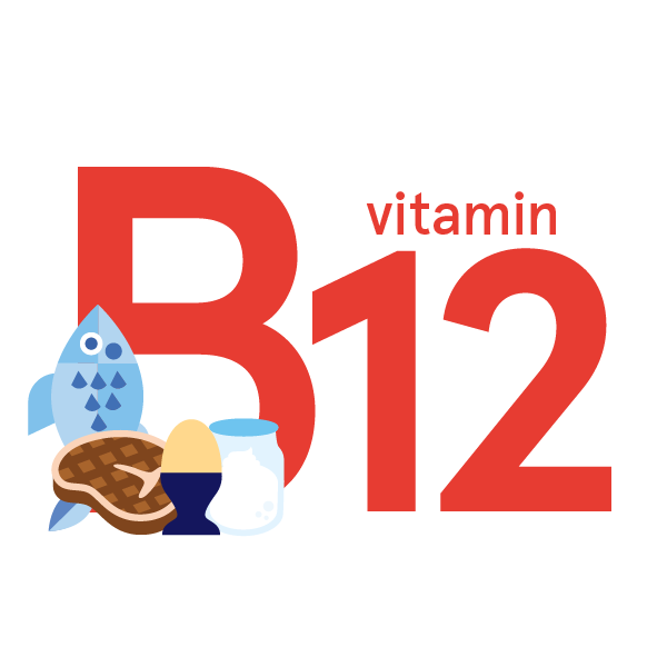 Vitamin B12: foods, functions, how much do you need & more