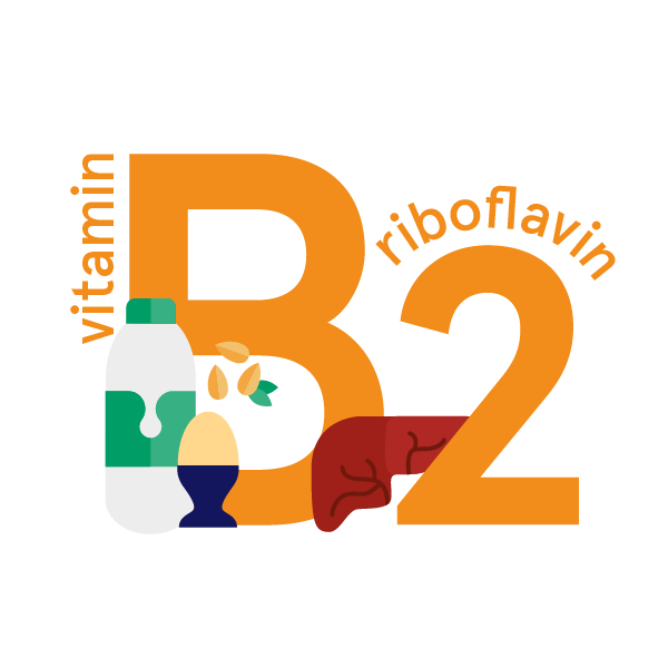 Riboflavin (vitamin B2): foods, functions, how much do you need & more