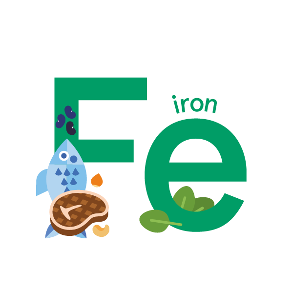 Iron: foods, functions, how much do you need & more