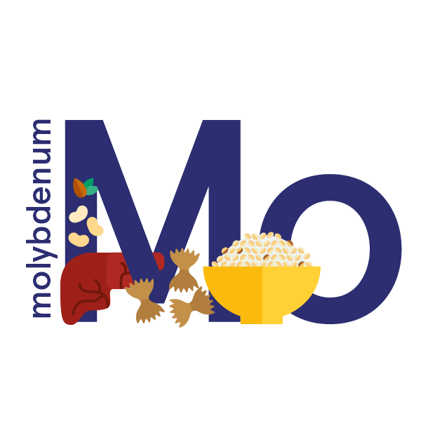 Molybdenum: foods, functions, how much do you need & more