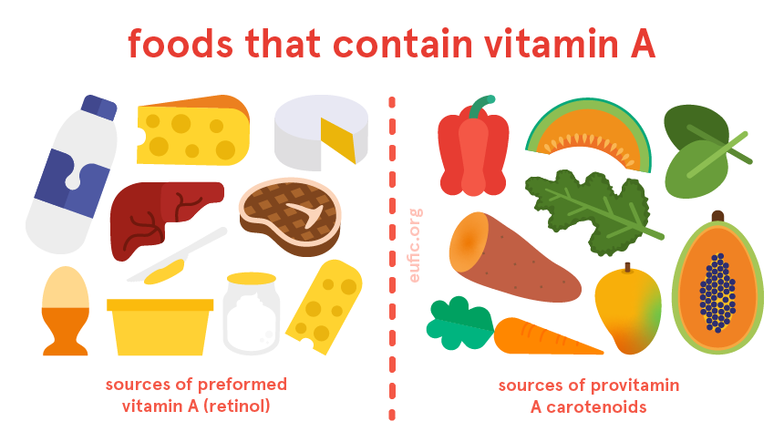 middernacht Ongrijpbaar Zakje Vitamin A: foods, functions, how much do you need & more | Eufic
