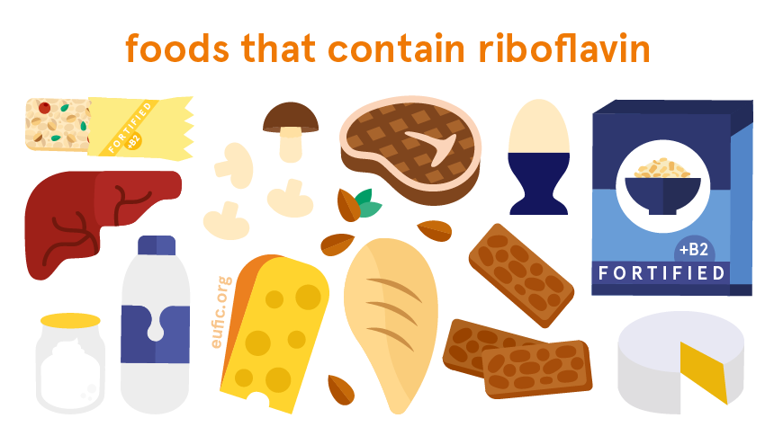 Riboflavin Vitamin B2 Foods Functions How Much Do You Need And More