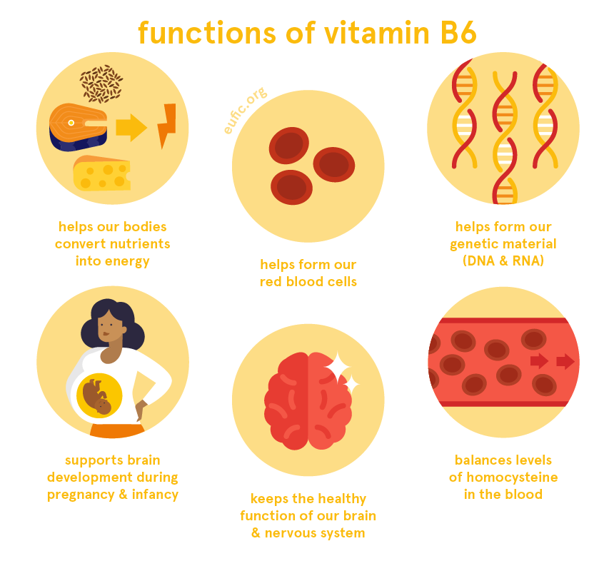 Op de grond Assimileren Inactief Vitamin B6: foods, functions, how much do you need & more | Eufic