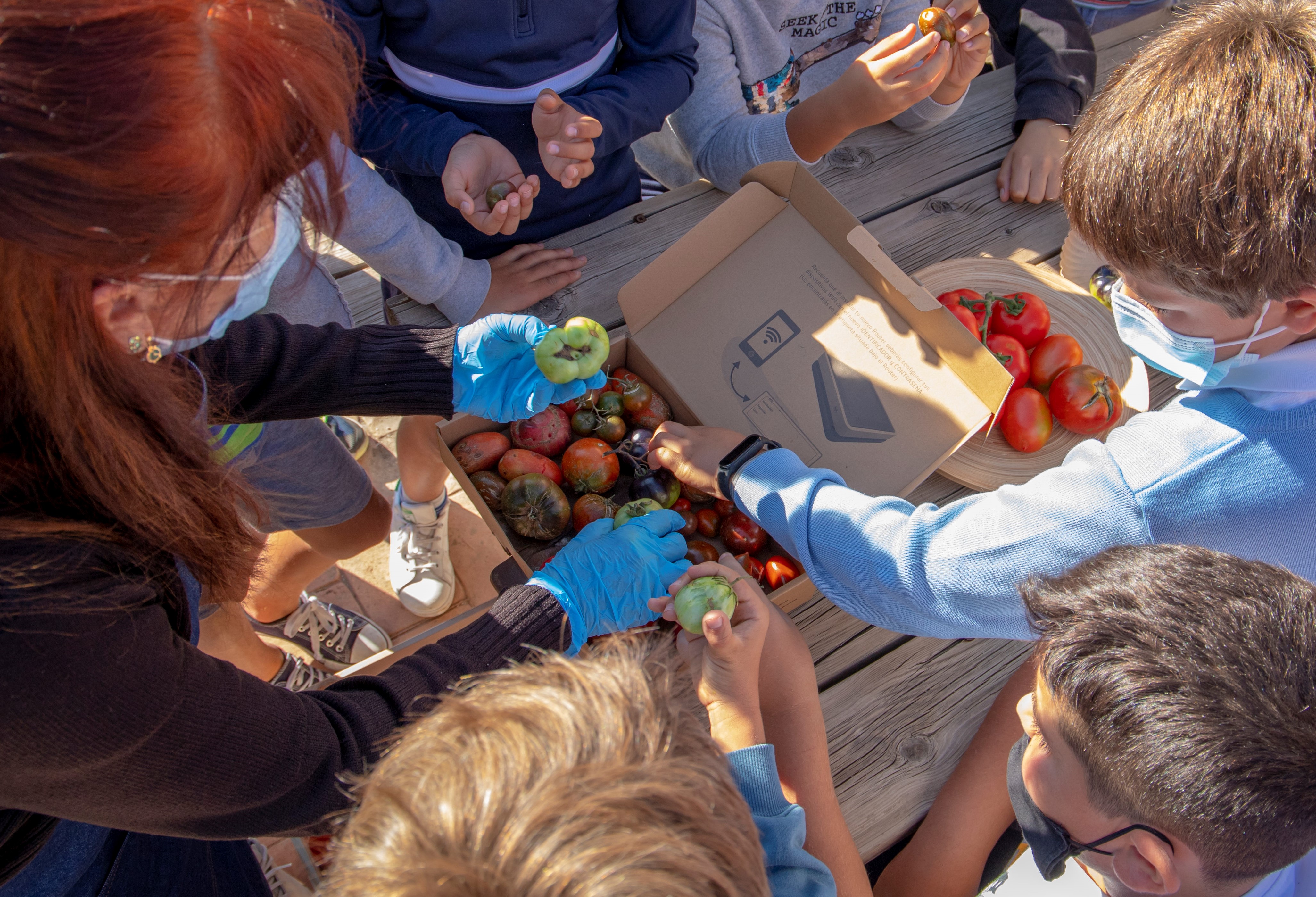 Children tasting tomatoes, Food imaginarium project