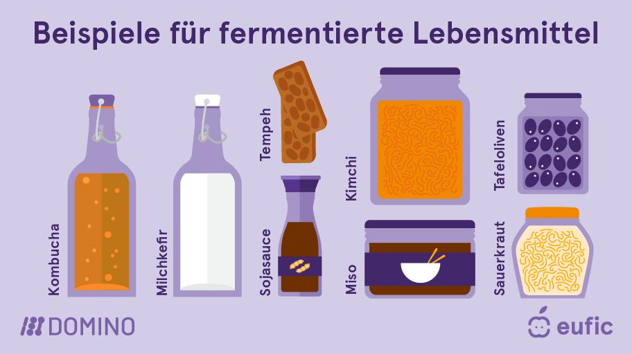 EUFIC-DOMINO_Fermented-foods-examples-DE.png