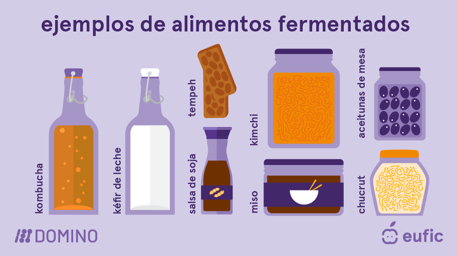 EUFIC-DOMINO_Fermented-foods-examples-ES.png