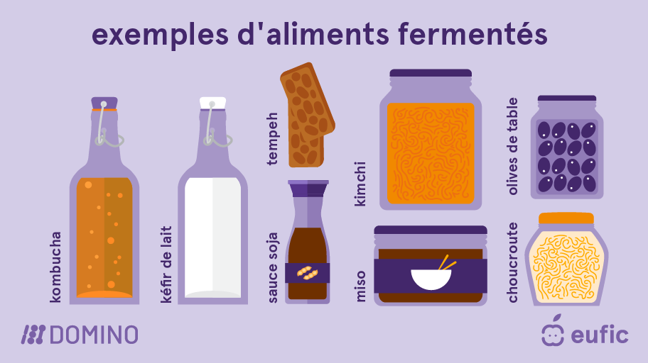 EUFIC-DOMINO_Fermented-foods-examples-FR.png