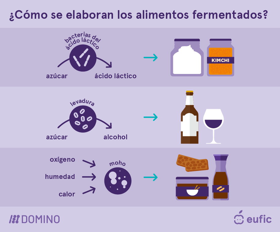 EUFIC-DOMINO_Fermented-foods-how-fermented-foods-are-made-ES.png