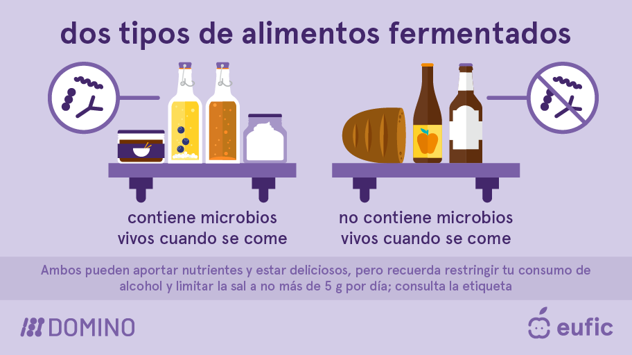 EUFIC-DOMINO_Fermented-foods-types-ES.png