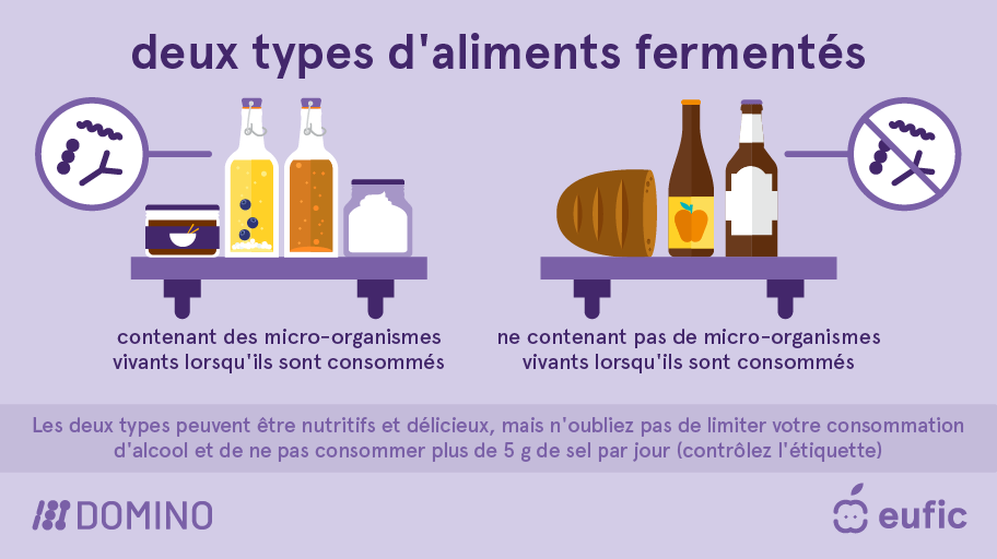 EUFIC-DOMINO_Fermented-foods-types-FR.png