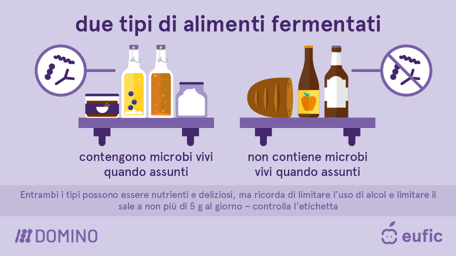 EUFIC-DOMINO_Fermented-foods-types-IT.png