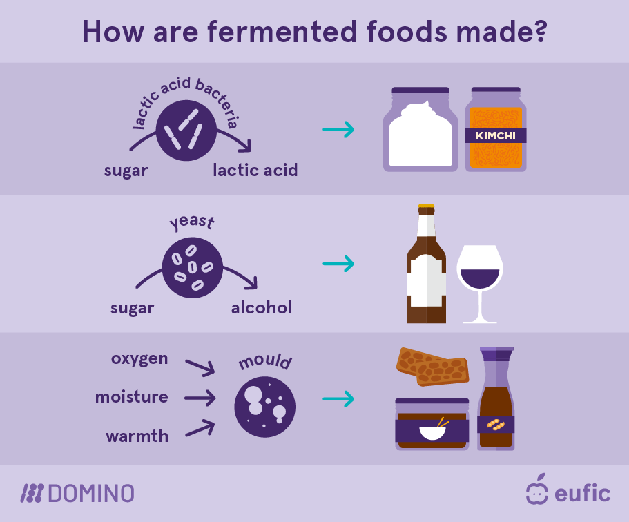 EUFIC-DOMINO_Fermented-foods_how-fermented-foods-are-made.png