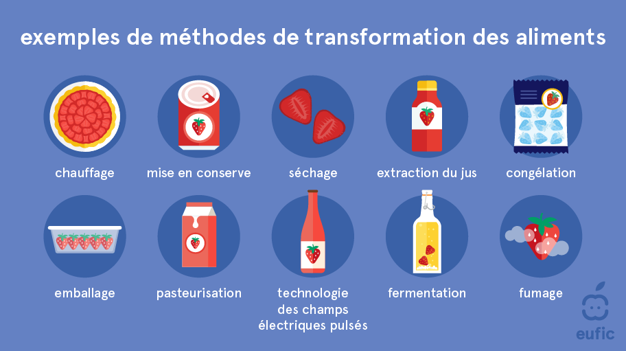 What_is_the_purpose_of_food_processing_1-FR.png