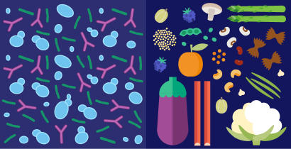 C’est quoi les prébiotiques et les probiotiques, et sont-ils importants pour notre santé ?