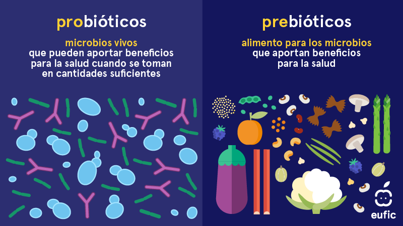Prebiotics_probiotics_Prebiotics_probiotics-ES.png